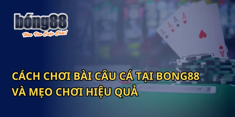 Cách Chơi Bài Câu Cá Tại Bong88 Và Mẹo Chơi Hiệu Quả