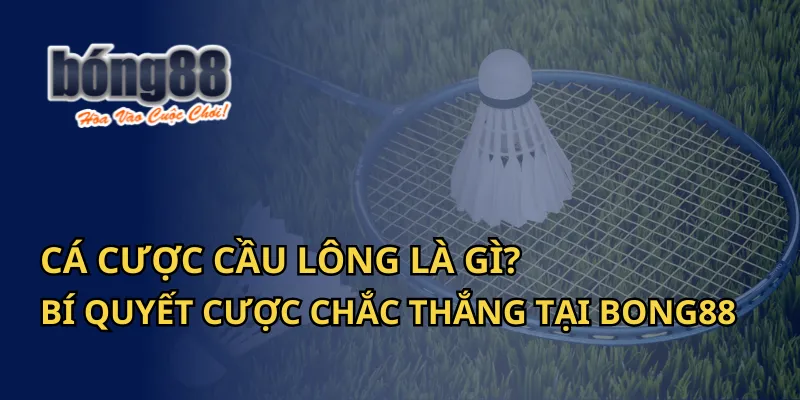 Cá Cược Cầu Lông Là Gì? Bí Quyết Cược Chắc Thắng Tại Bong88