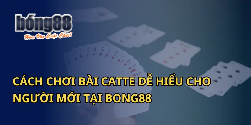 Cách Chơi Bài Catte Dễ Hiểu Cho Người Mới Tại Bong88