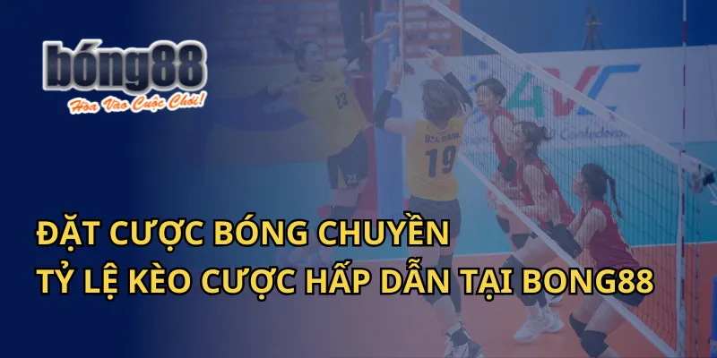 Đặt Cược Bóng Chuyền – Tỷ Lệ Kèo Cược Hấp Dẫn Tại Bong88