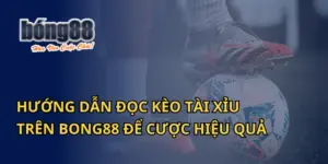 Hướng Dẫn Đọc Kèo Tài Xỉu Trên Bong88 Để Cược Hiệu Quả